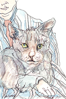 green eyed cat drawing / print by laidman