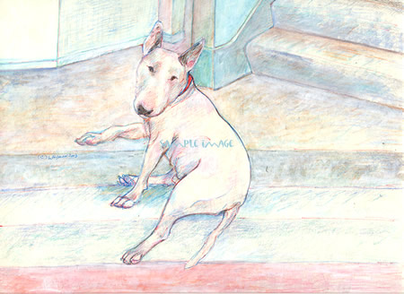 Ferris - a Bull Terrier - a Laidman Dog Print