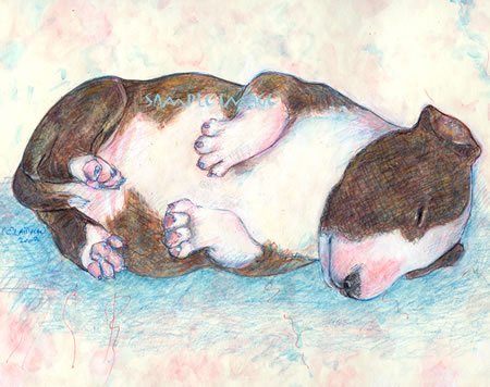 Billy - a Bull Terrier Puppy - a Laidman Dog Print