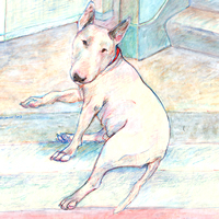 Ferris - a Bull Terrier - a Laidman Dog Art Print