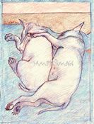 Sleeping Bull Terrier Buds - a Laidman Dog Print
