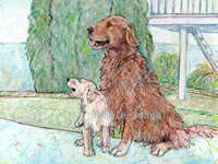 Daisy & Buddy - a Golden Retriever - Laidman Dog Print